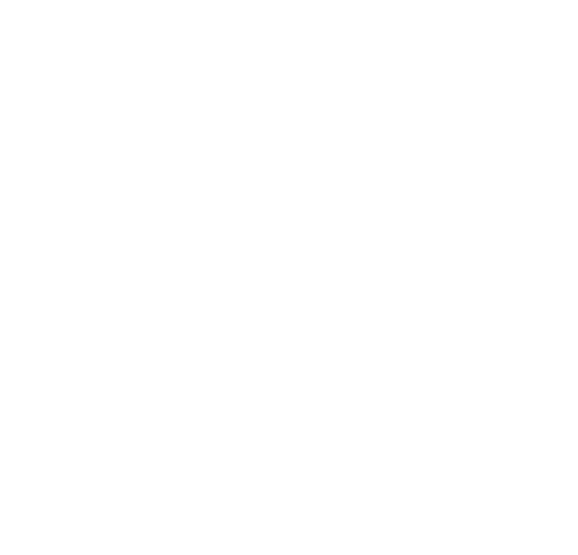 NG-Terminal logo