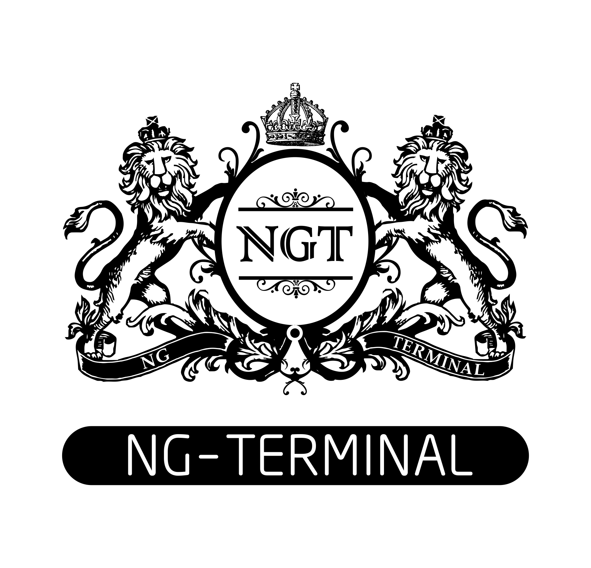 NG-Terminal